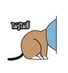 niyacat（個別スタンプ：31）