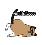 niyacat（個別スタンプ：34）