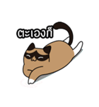 niyacat（個別スタンプ：35）