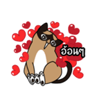 niyacat（個別スタンプ：37）