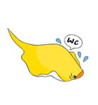 DuckStingray（個別スタンプ：17）