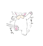 老け猫さん（個別スタンプ：8）