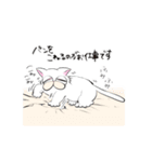 老け猫さん（個別スタンプ：11）