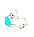 老け猫さん（個別スタンプ：14）