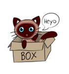 Caramel Siamese Cat（個別スタンプ：1）