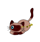 Caramel Siamese Cat（個別スタンプ：4）