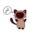 Caramel Siamese Cat（個別スタンプ：5）