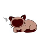 Caramel Siamese Cat（個別スタンプ：6）