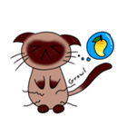 Caramel Siamese Cat（個別スタンプ：9）