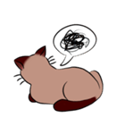 Caramel Siamese Cat（個別スタンプ：11）