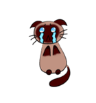 Caramel Siamese Cat（個別スタンプ：12）