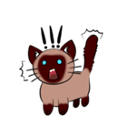 Caramel Siamese Cat（個別スタンプ：13）