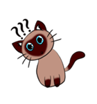 Caramel Siamese Cat（個別スタンプ：16）
