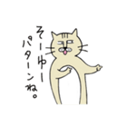 ねこねこおじさん（個別スタンプ：1）