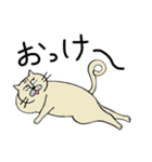 ねこねこおじさん（個別スタンプ：3）