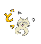 ねこねこおじさん（個別スタンプ：12）