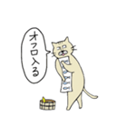 ねこねこおじさん（個別スタンプ：13）