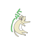 ねこねこおじさん（個別スタンプ：20）