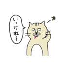 ねこねこおじさん（個別スタンプ：22）