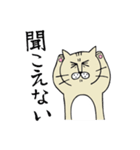 ねこねこおじさん（個別スタンプ：40）
