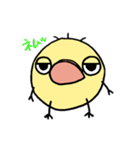 テヘ（個別スタンプ：1）