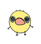 テヘ（個別スタンプ：12）