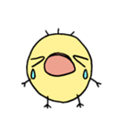 テヘ（個別スタンプ：15）