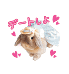 実写！プーチン＆マーチンの日常スタンプ（個別スタンプ：4）