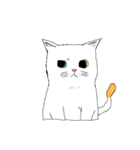 catnalok（個別スタンプ：1）