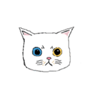catnalok（個別スタンプ：2）