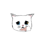 catnalok（個別スタンプ：4）