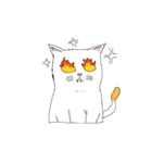 catnalok（個別スタンプ：6）