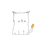 catnalok（個別スタンプ：16）