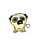 Dog scowl（個別スタンプ：1）