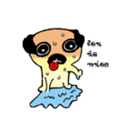 Dog scowl（個別スタンプ：2）