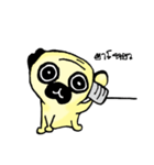 Dog scowl（個別スタンプ：3）