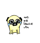 Dog scowl（個別スタンプ：10）