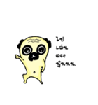 Dog scowl（個別スタンプ：20）