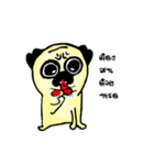 Dog scowl（個別スタンプ：24）