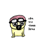 Dog scowl（個別スタンプ：26）