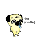 Dog scowl（個別スタンプ：27）