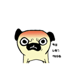 Dog scowl（個別スタンプ：35）