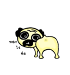 Dog scowl（個別スタンプ：40）