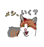 ネコへんじ 02 と 03 のセット.（個別スタンプ：9）