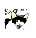 ネコへんじ 02 と 03 のセット.（個別スタンプ：10）