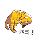 ネコへんじ 02 と 03 のセット.（個別スタンプ：11）