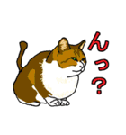 ネコへんじ 02 と 03 のセット.（個別スタンプ：15）