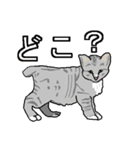 ネコへんじ 02 と 03 のセット.（個別スタンプ：19）