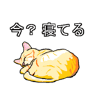 ネコへんじ 02 と 03 のセット.（個別スタンプ：28）