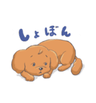 トイプードルのファーちゃん（個別スタンプ：5）
